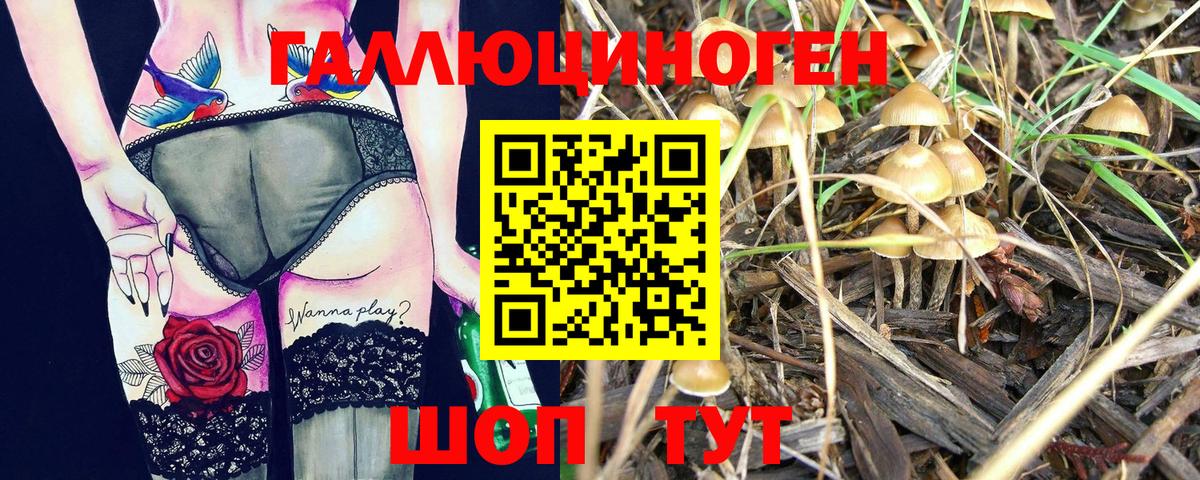 Мелеуз  Псилоцибиновые грибы мухоморы  Вход с VPN 