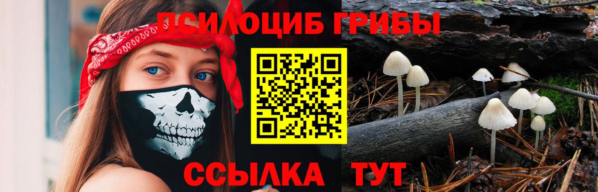 Псилоцибиновые грибы GOLDEN TEACHER Мелеуз